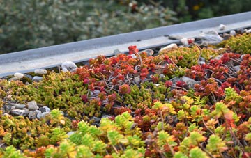 the cost of Llan Dafal green roof installation