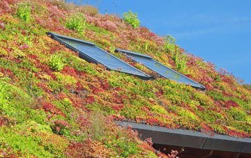 Llan Dafal living roof systems