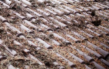 Llan Dafal roof cleaning companies