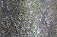 Llan Dafal fibreglass roof work